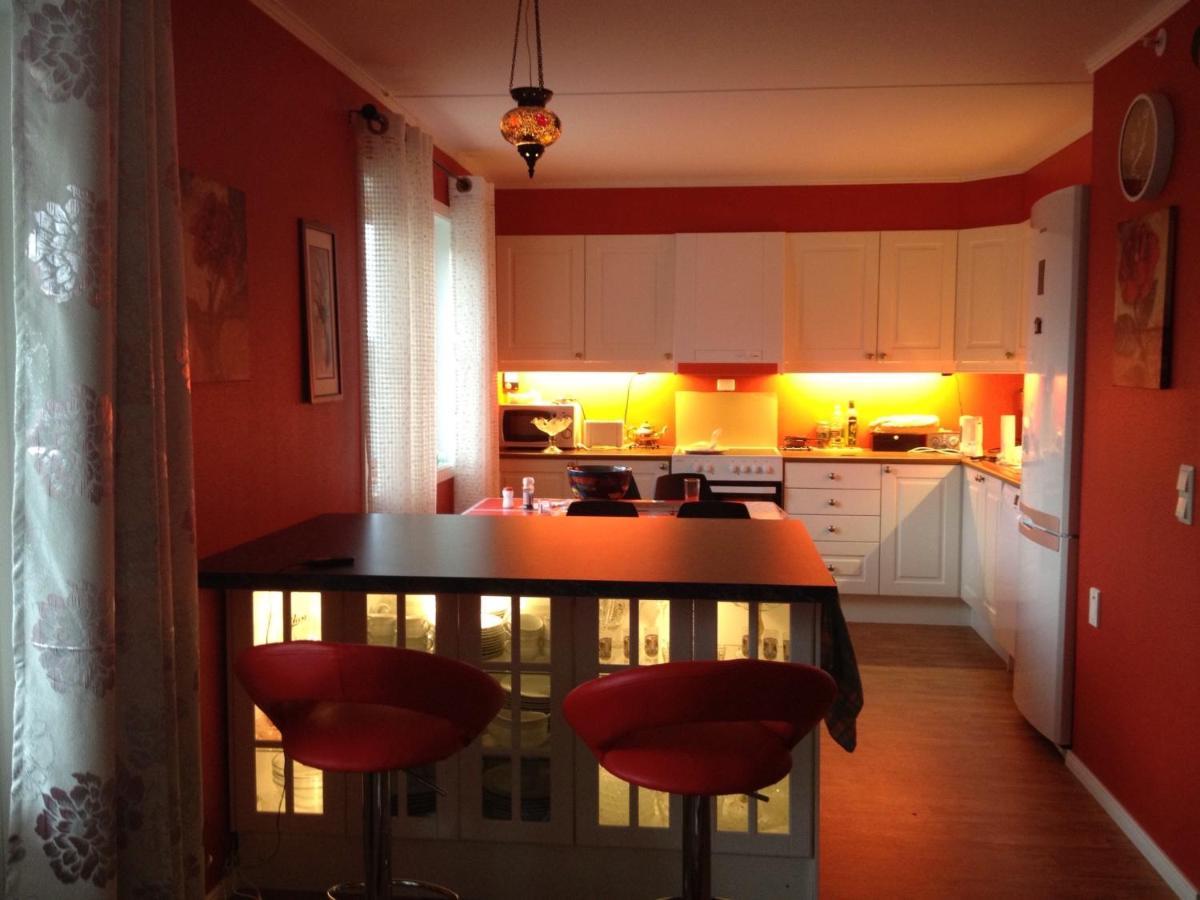 Sleep Well 1 Apartment Kongsberg ภายนอก รูปภาพ