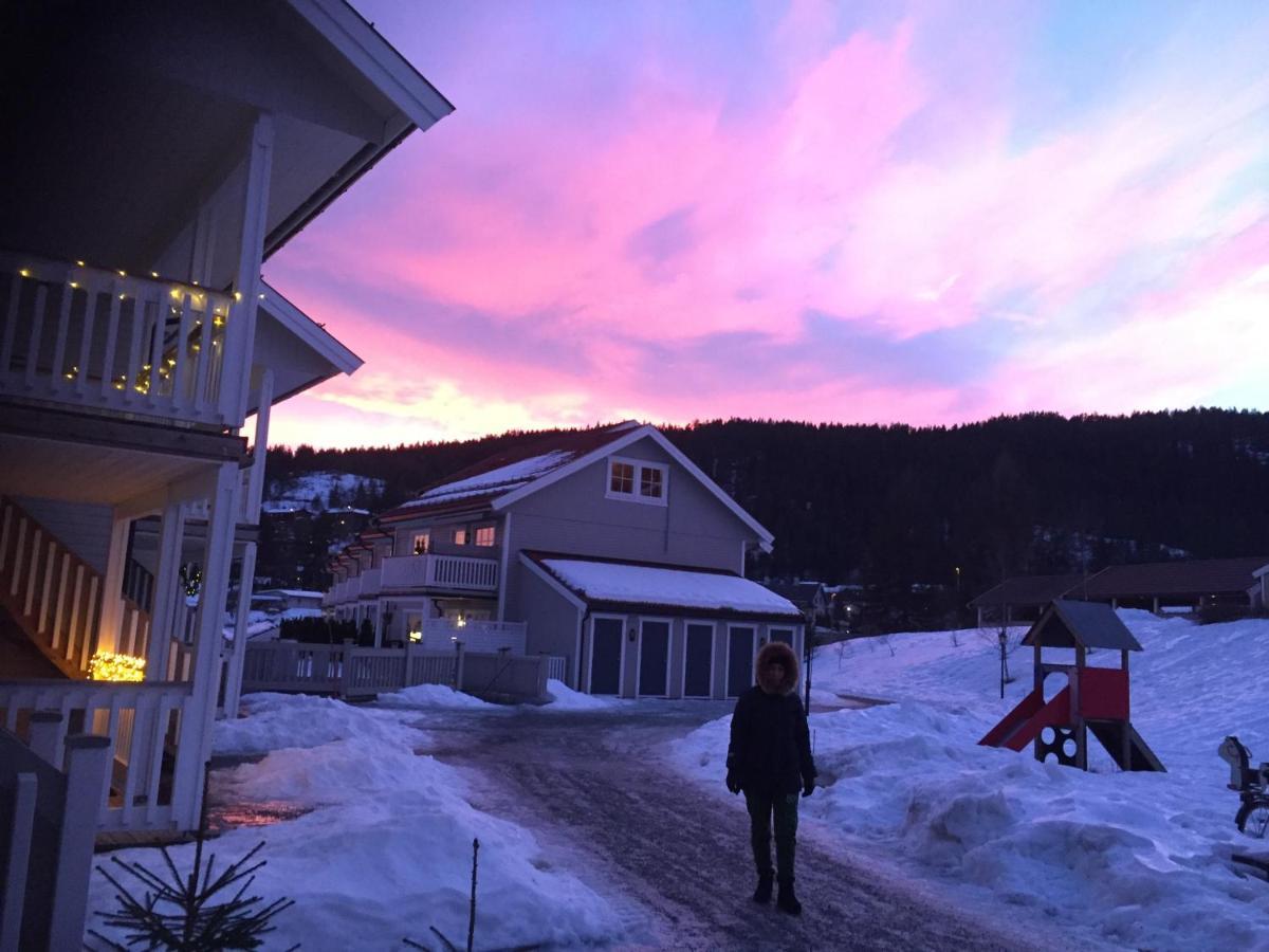 Sleep Well 1 Apartment Kongsberg ภายนอก รูปภาพ