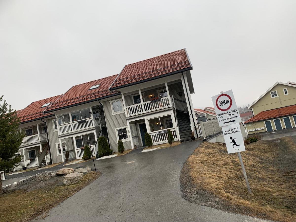 Sleep Well 1 Apartment Kongsberg ภายนอก รูปภาพ