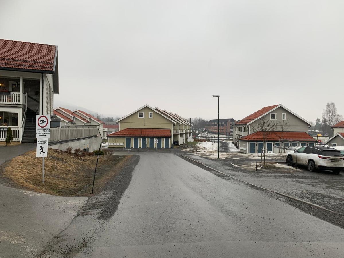 Sleep Well 1 Apartment Kongsberg ภายนอก รูปภาพ