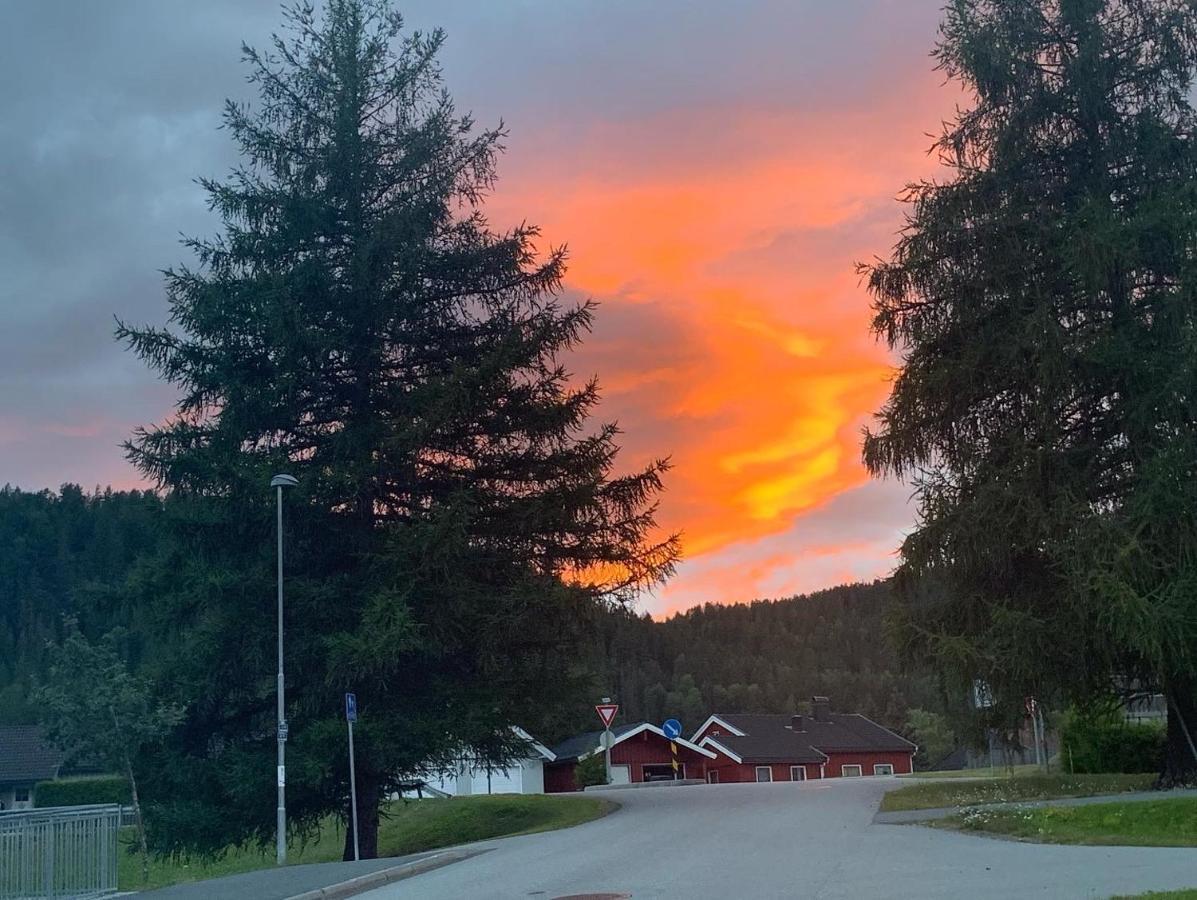 Sleep Well 1 Apartment Kongsberg ภายนอก รูปภาพ