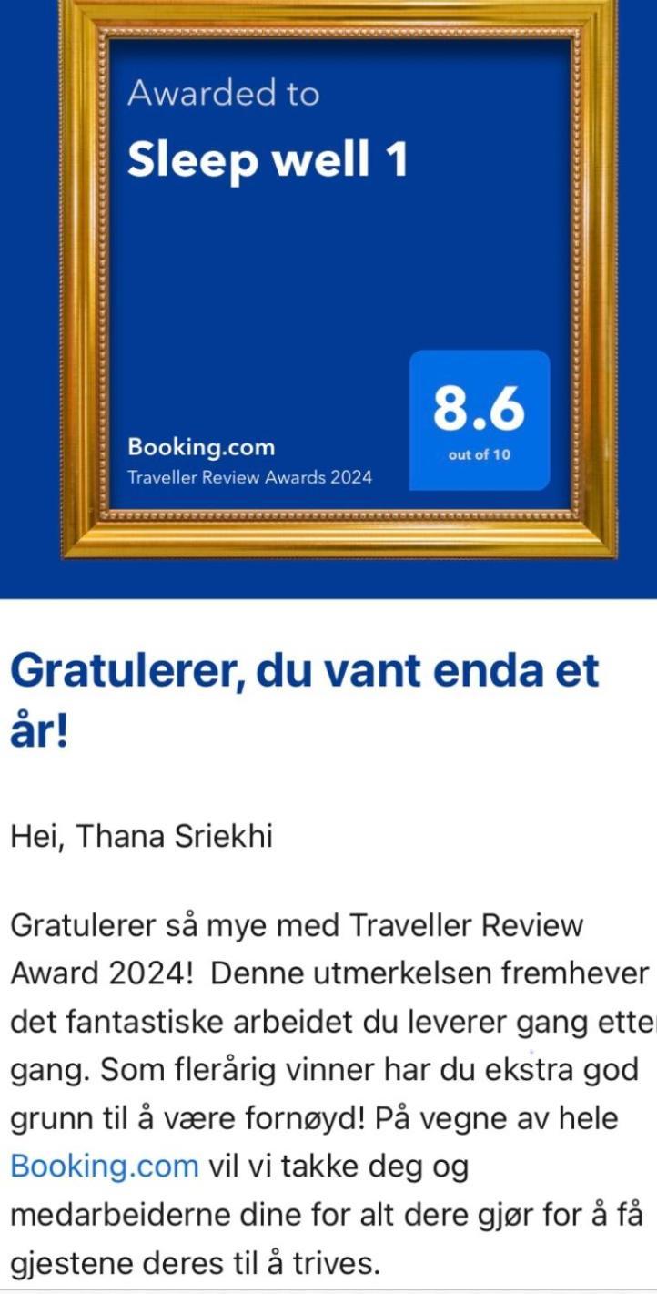Sleep Well 1 Apartment Kongsberg ภายนอก รูปภาพ