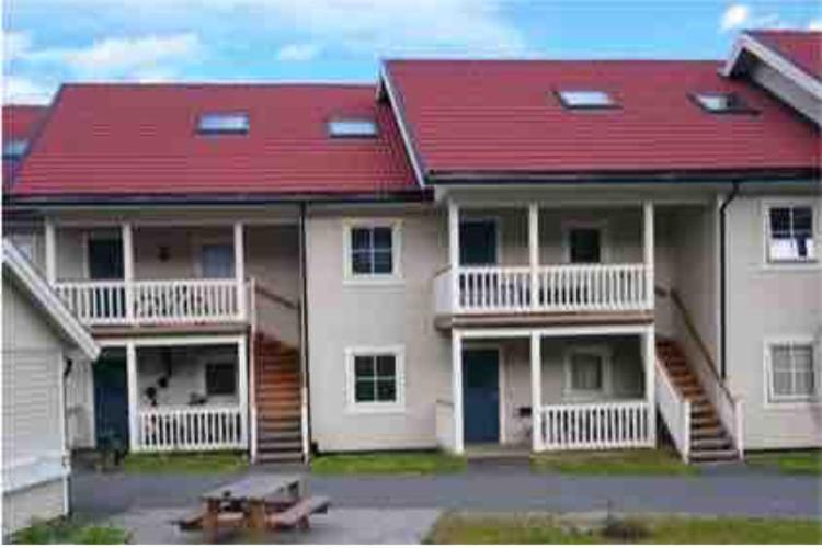 Sleep Well 1 Apartment Kongsberg ภายนอก รูปภาพ
